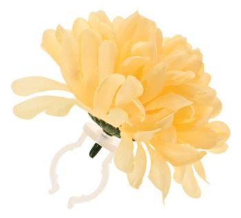 BAS50371 Basil Mand Dahlia Flower YELLOW